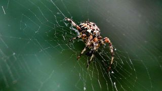 NP Plitvička jezera, listopad 2021.