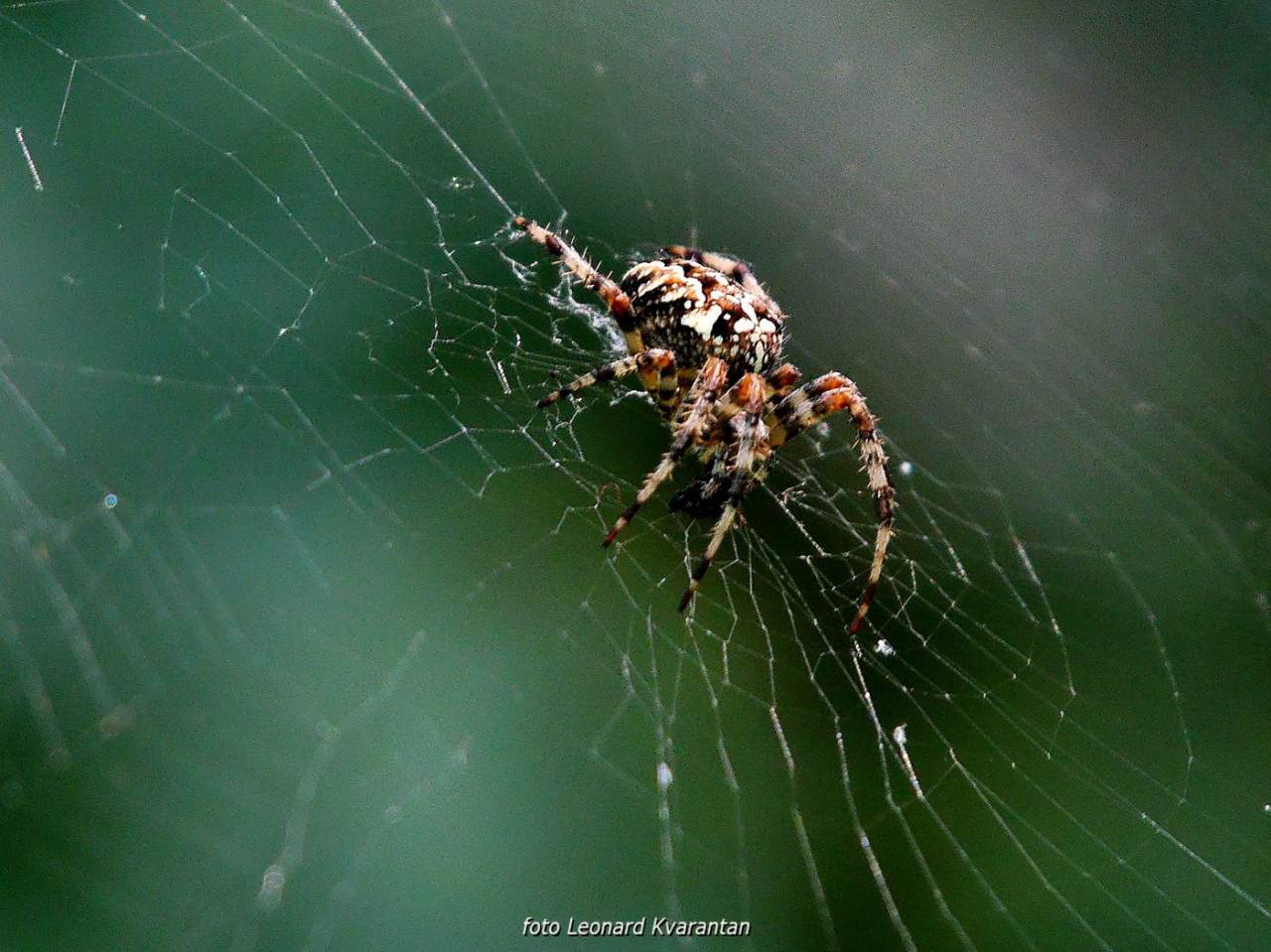 NP Plitvička jezera, listopad 2021.