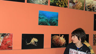 Otvorenje izložbe RK Roko, foto- L. Banić