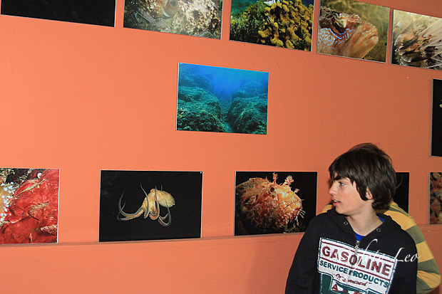 Otvorenje izložbe RK Roko, foto- L. Banić