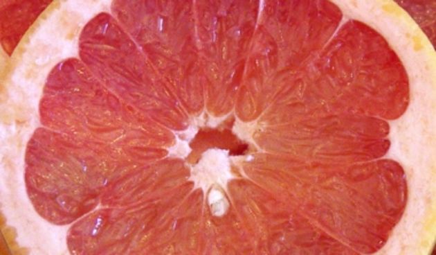 Grejp, foto: www.orbus.be