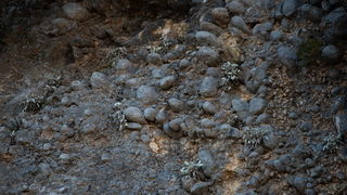 Đir do kraških ljepotica Krupe i Zrmanje, Foto: Vinko Pešić Đir do kraških ljepotica Krupe i Zrmanje, Foto: Vinko Pešić