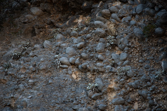 Đir do kraških ljepotica Krupe i Zrmanje, Foto: Vinko Pešić Đir do kraških ljepotica Krupe i Zrmanje, Foto: Vinko Pešić