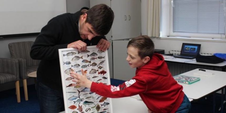 Mali Morski utorak Mali Morski utorak