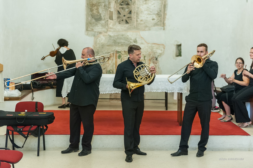 Zadarski komorni orkestar: Beethovenova Deveta simfonija u katedrali Sv. Stošije