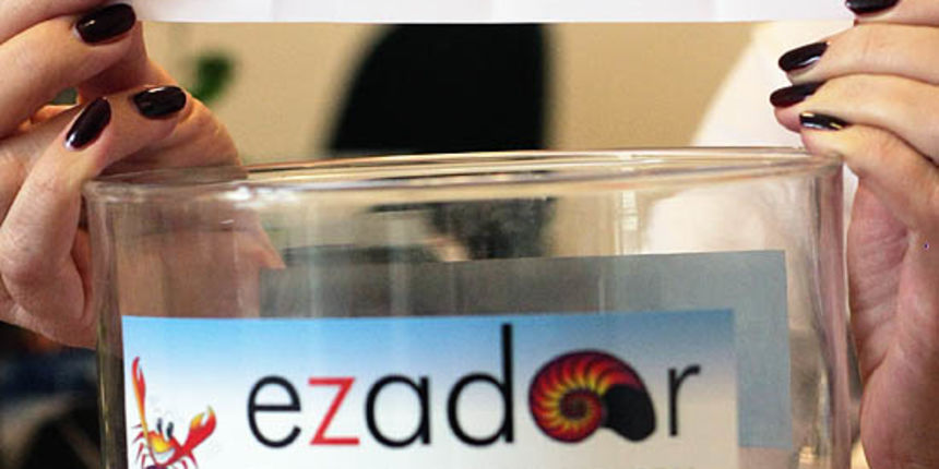 Image 1130629 (auto)