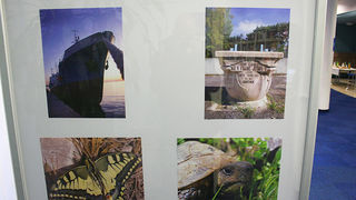 Izložba fotografija Vedrana Penge