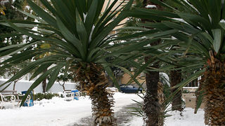 Snježni đir oko Gradske knjižnice Zadar, Foto: Lucija Juravić Snježni đir oko Gradske knjižnice Zadar, Foto: Lucija Juravić