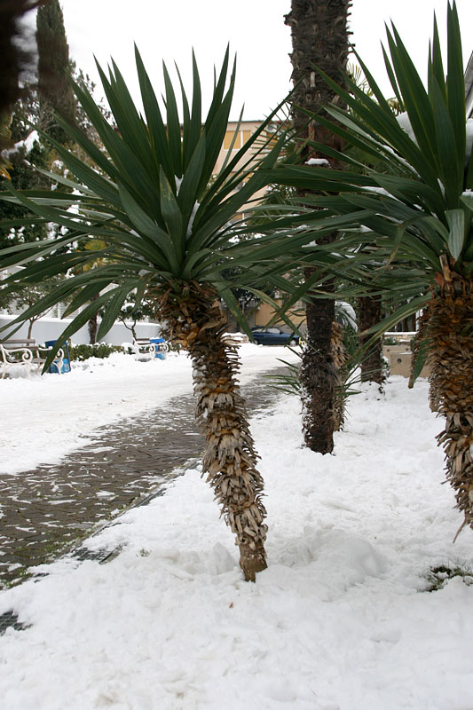 Snježni đir oko Gradske knjižnice Zadar, Foto: Lucija Juravić Snježni đir oko Gradske knjižnice Zadar, Foto: Lucija Juravić