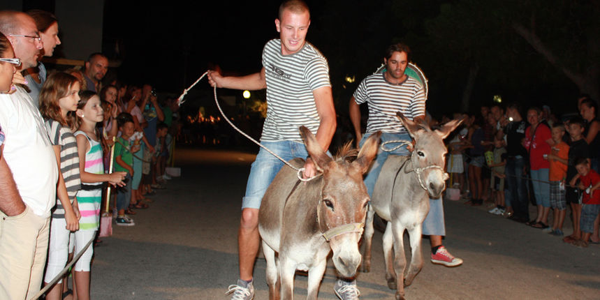 Sukošan: 42. Memorijal kenje Vijole i Svićarenje Sukošan: 42. Memorijal kenje Vijole i Svićarenje