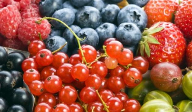 Bobičasto voće; borovnica, ribiz, jagoda, malina  (Metro-portal.hr)