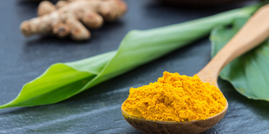 Kurkuma biljka uzgoj i korištenje Kurkuma biljka uzgoj i korištenje