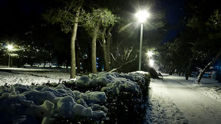 Noćni đir po Višnjiku, Foto: Anđelo Virag