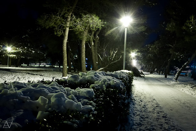 Noćni đir po Višnjiku, Foto: Anđelo Virag
