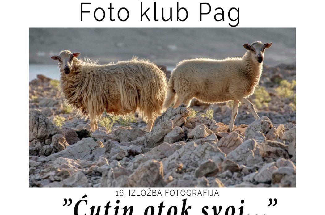 16. izložba Ćutin otok svoj 16. izložba Ćutin otok svoj