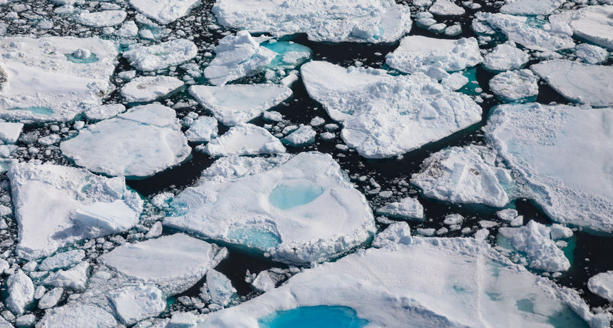 arktički led arktički led