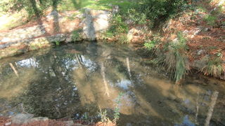 Prijepodne u parku Vruljica