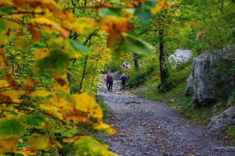 np paklenica poucna staza u jesen np paklenica poucna staza u jesen