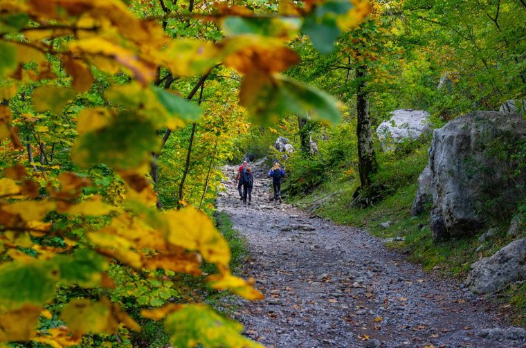 np paklenica poucna staza u jesen np paklenica poucna staza u jesen