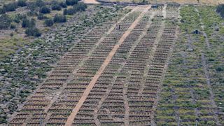 Primošten. Počela berba grožđa od kojeg se pravi svjetski poznato vino Babić. Photo: Duško Jaramaz/PIXSELL Primošten. Počela berba grožđa od kojeg se pravi svjetski poznato vino Babić. Photo: Duško Jaramaz/PIXSELL