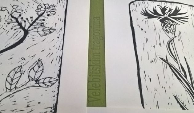 Predstavljena grafička mapa “Velebitskim tragovima”