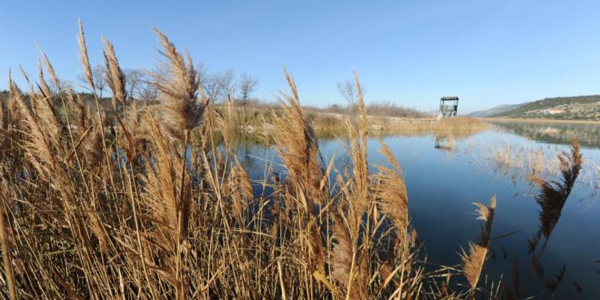 Pogled na ljepote Parka prirode Vransko jezero okupanog suncem Pogled na ljepote Parka prirode Vransko jezero okupanog suncem
