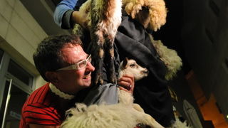 Zadar, 280212
Zadarski modni macak, Jadranko Kljucanin, veceras je unutar i ispred kafica Petit izveo performans sa sukosanskim zvoncarima i njihovim janjcima. 
Foto: Luka Gerlanc / CROPIX