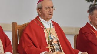 Zadarski nadbiskup Puljić predvodio svetu misu u Kistanjama povodom obilježavanja obljetnice proglašenja blaženim Serafina Kodića Zadarski nadbiskup Puljić predvodio svetu misu u Kistanjama povodom obilježavanja obljetnice proglašenja blaženim Serafina Kodića