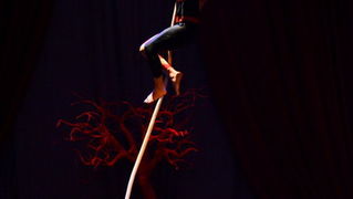 Circo Art u HNK Zadar izveo predstavu “Povratak u prirodu”