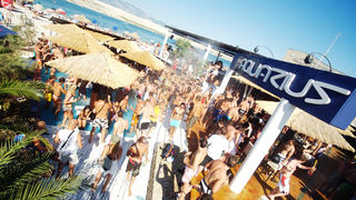 Image 1175661 (auto)