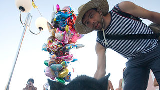 51. Saljske užance, 8. kolovoza 2010. (foto:Saša Čuka)