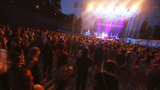 Seal u Zadru 14. srpnja 2010. (foto:Saša Čuka)