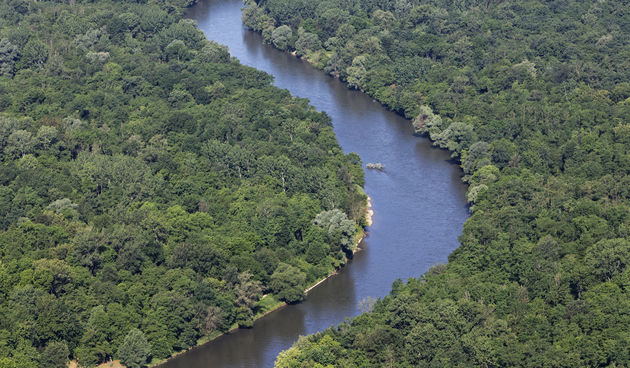 WWF: Planovi izgradnje hidroelektrana ugrožavaju slovenski dio “Europske Amazone”