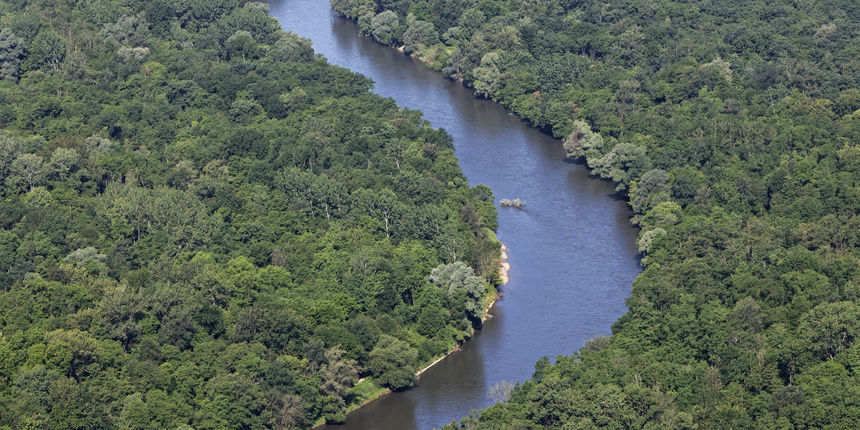 WWF: Planovi izgradnje hidroelektrana ugrožavaju slovenski dio “Europske Amazone”