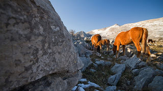 Đir do Libinja 9. travnja 2012. (foto:Saša Čuka) Đir do Libinja 9. travnja 2012. (foto:Saša Čuka)