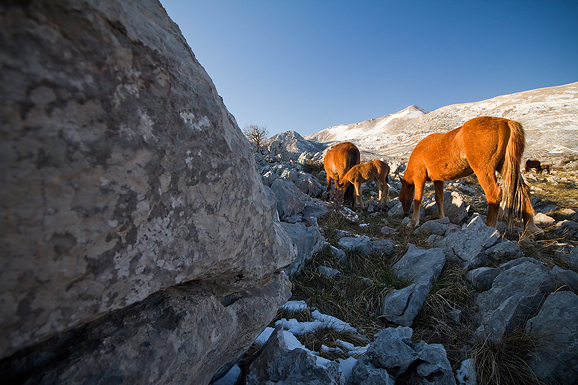 Đir do Libinja 9. travnja 2012. (foto:Saša Čuka) Đir do Libinja 9. travnja 2012. (foto:Saša Čuka)