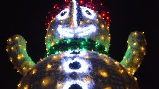 Dva milijuna lampica za božićnu čaroliju na imanju Salaj