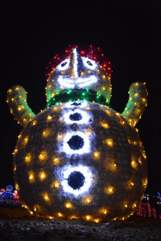 Dva milijuna lampica za božićnu čaroliju na imanju Salaj