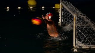 VAK”AN”ZA 31%, finale: Reptili – Nesvrstani 2-4 VAK”AN”ZA 31%, finale: Reptili – Nesvrstani 2-4