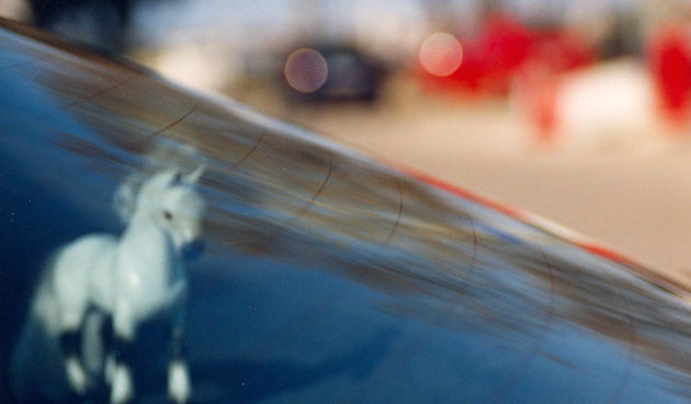 Pablo Bilosnić – Konj