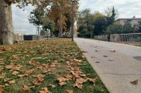 Zadarska šetnica s najlipšim pogledom u jesen je idealna za predah i “punjenje baterija” Zadarska šetnica s najlipšim pogledom u jesen je idealna za predah i “punjenje baterija”