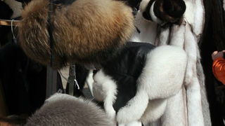 Helsinki – Odjeća i izlozi (foto: Antonija Gospić)