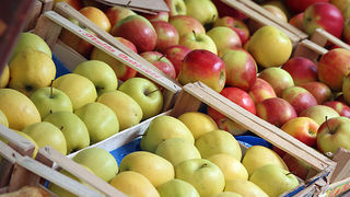 Đir po pijaci, 17. travnja 2012. (foto:Saša Čuka)