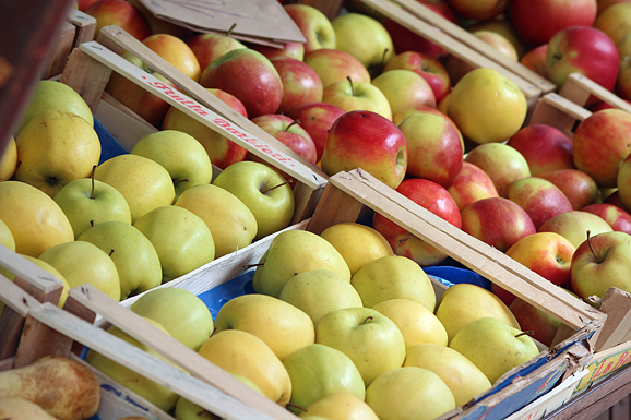 Đir po pijaci, 17. travnja 2012. (foto:Saša Čuka)