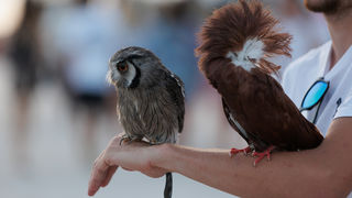 Večernji đir po gradu, 22. lipnja 2023. Večernji đir po gradu, 22. lipnja 2023.