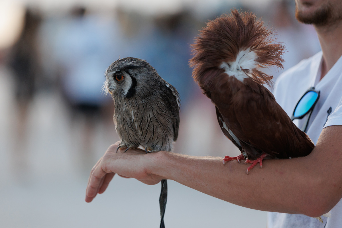 Večernji đir po gradu, 22. lipnja 2023. Večernji đir po gradu, 22. lipnja 2023.