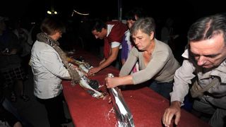 Biograd na Moru: Kilometarska štrudla za Guinnessa, Foto: Dino Stanin/PIXSELL