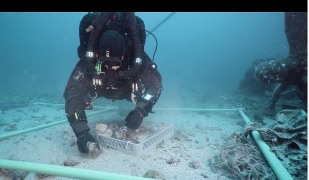 Podvodna istraživanja Vis