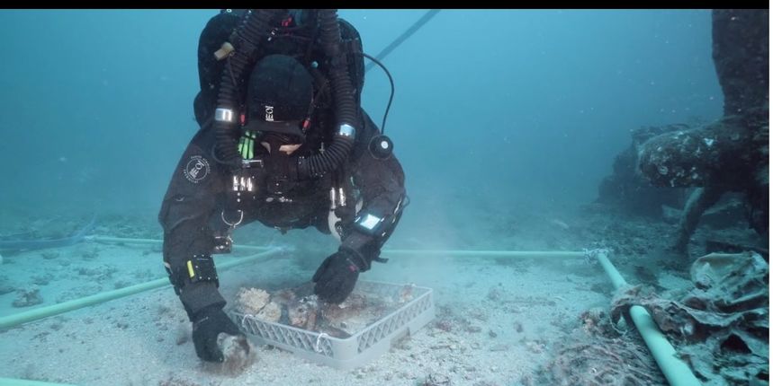 Podvodna istraživanja Vis