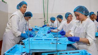 Predsjednik Milanović posjetio je tvrtku Mardešić u Salima